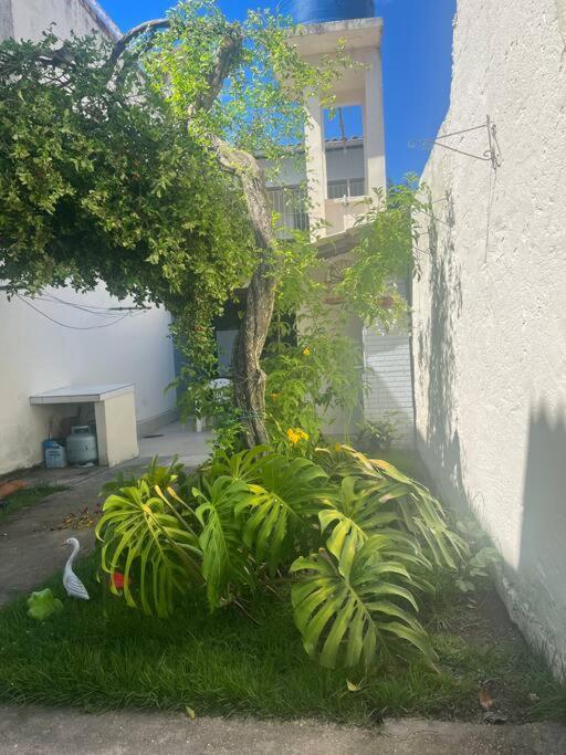 Holiday home Casa No Centro-otima Localizacao